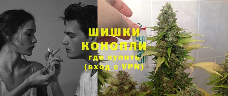 Шишки марихуана Bruce Banner  купить наркоту  Когалым 